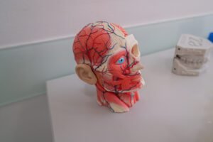 KlinicaCaldasRainha (52 de 70)